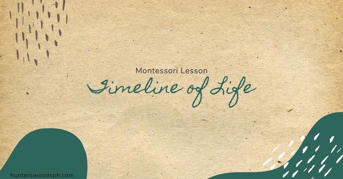 HuntersWoodsPH Montessori History Lesson Timeline of Life