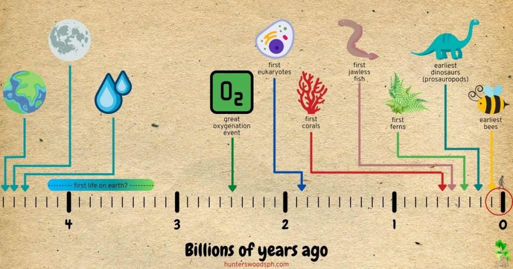 HuntersWoodsPH Montessori History Timeline of Life Billions of Years Ago