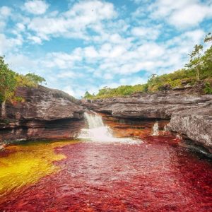 HuntersWoodsPH | Rivers of the World | Cano Cristales