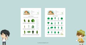 Montessori Botany Leaf Shapes - HuntersWoodsPH